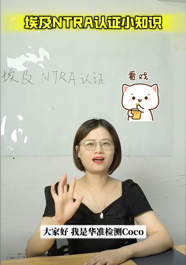 埃及NTRA認(rèn)證小知識(shí)